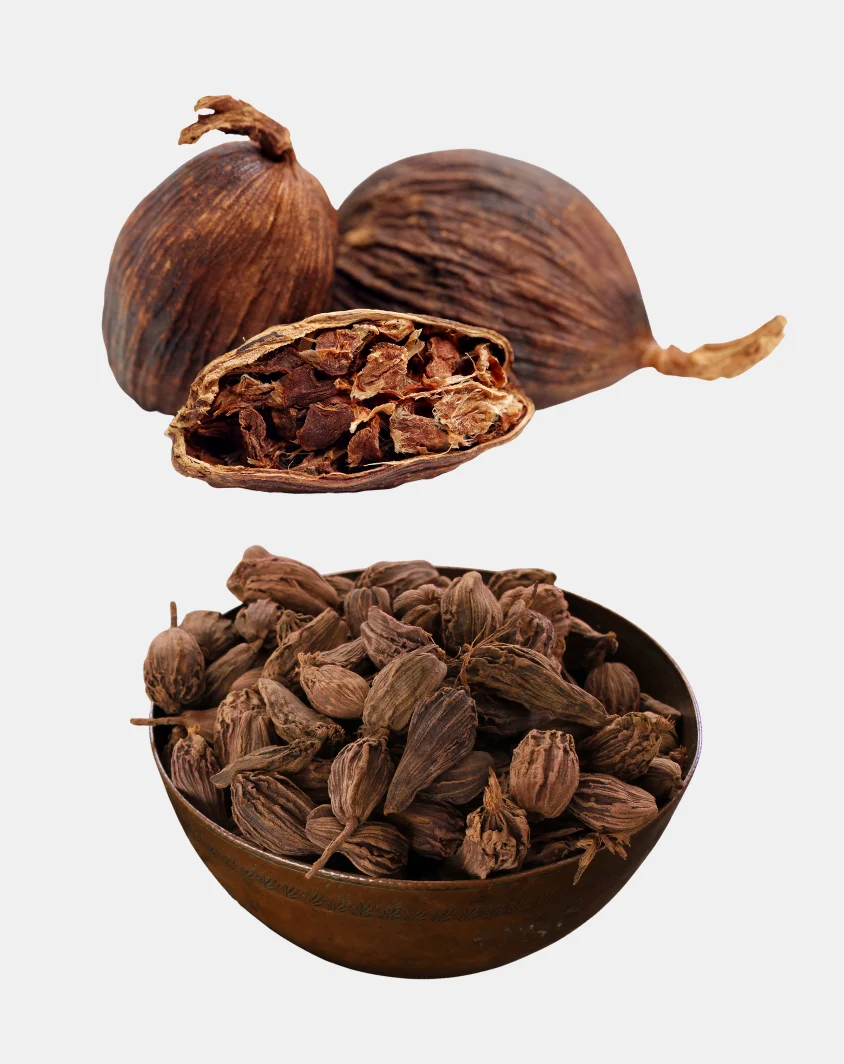 Cardamom